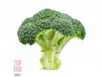 Brokoliai - žaliasis stebuklas šuns mityboje